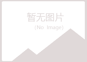 阳山县女孩金属有限公司